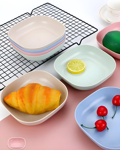 10 Pcs Plates Set With Holder (Random Color)