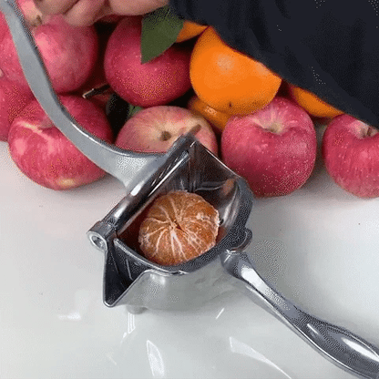 Fruit Juicer Manual Squeezer Stainless Steel